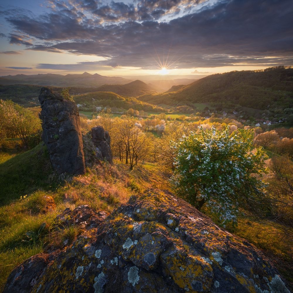 Spring sunset in the Bohemian Central Highlands in the north of the Czech Republic. In the foreground is a rock and a blossoming tree illuminated by evening light.