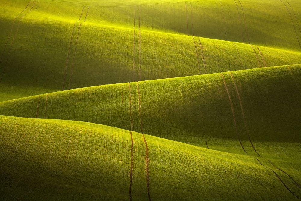 Rolling spring fields in South Moravia (Czech Republic).