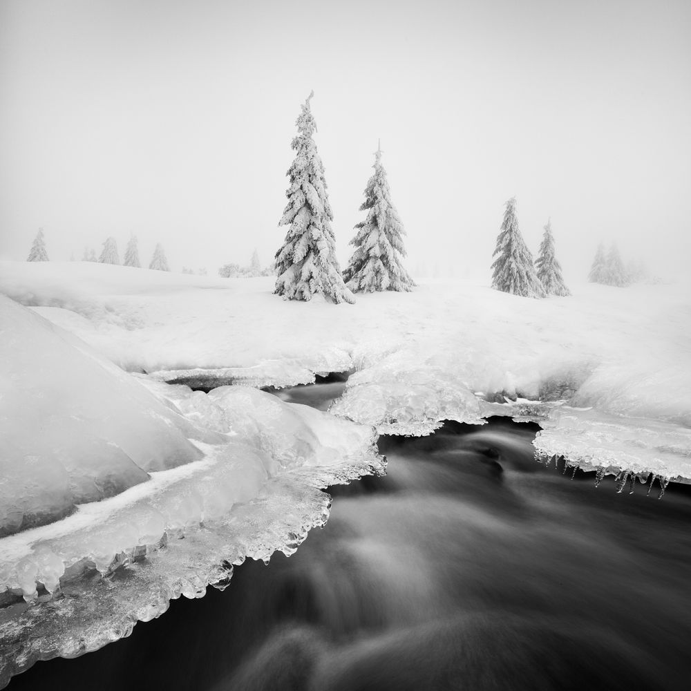 Winter frosty and foggy Ore Mountains. Czech Republic.