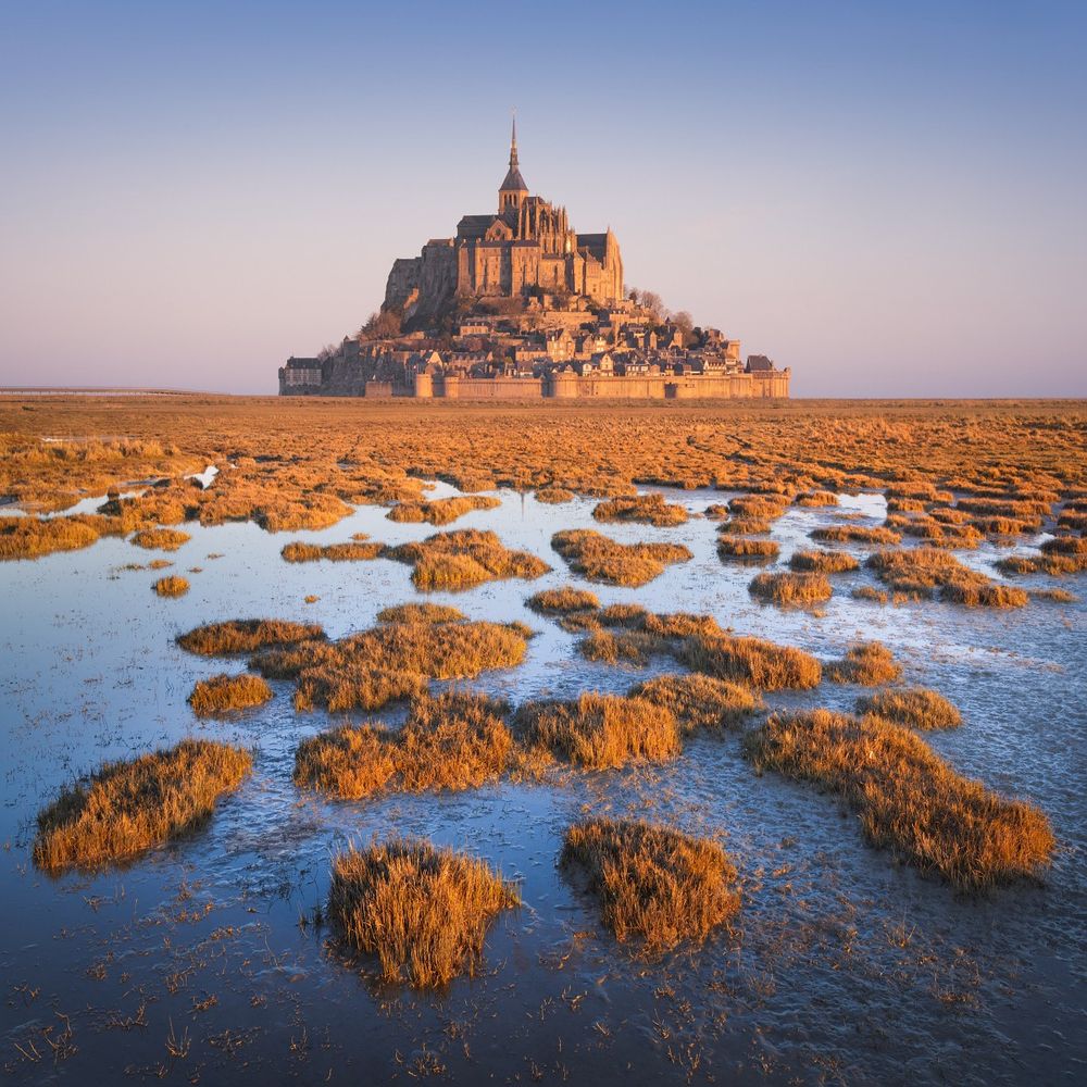 A morning view of the famous Mont Saint-Michel on the Normandy coast in France. The entire scene is illuminated by morning light and the foreground is formed by tufts of grass.