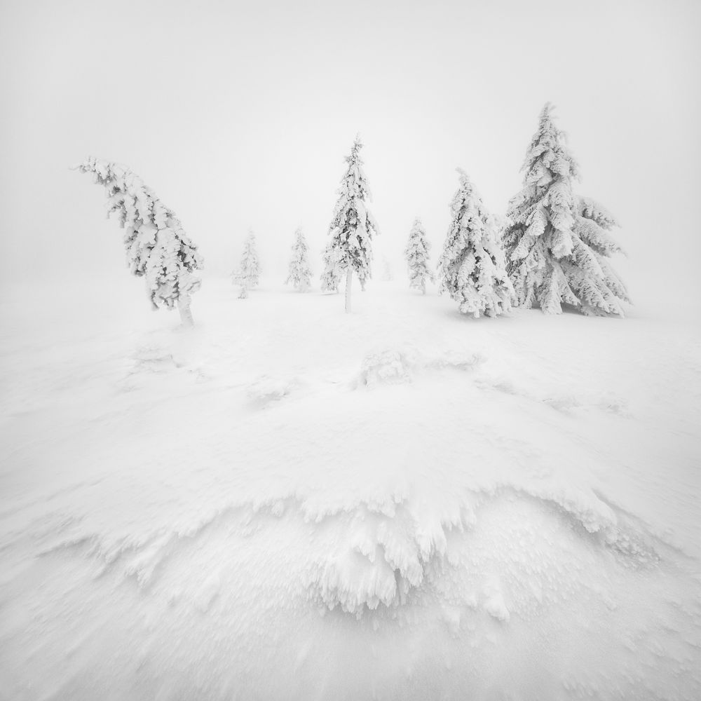 Minimalist black and white photo of a winter landscape with a few trees. Ore Mountains area in the north of the Czech Republic.