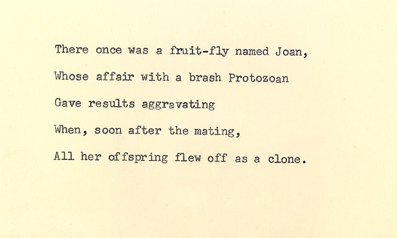 Typed poem on yellow card reads: "There once was a fruit-fly named Joan, / Whose affair with a brash Protozoan / Gave results aggrevating / When, soon after the mating, / All her offsrping flew off as a clone."