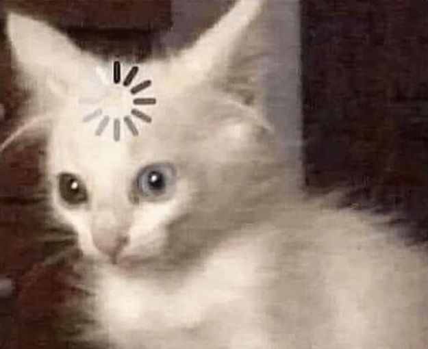 A young cat with a loading symbol on it's forehead