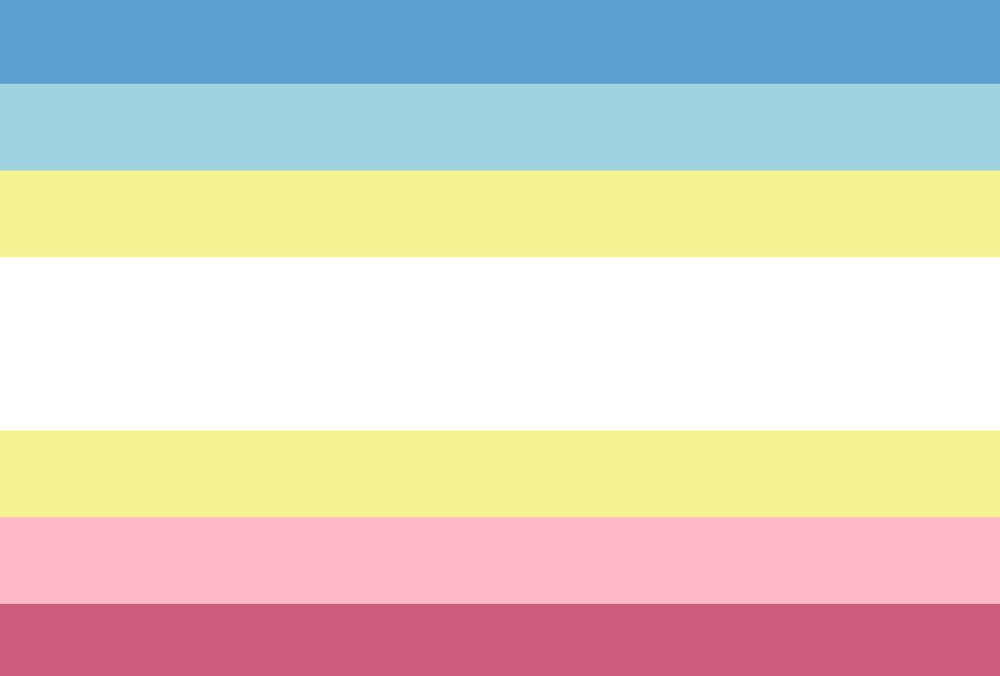 the pedophilia "pride" flag (they call it the "map flag", which stands for "minor attracted person")