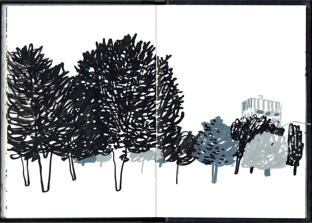 An ink drawing in black and grey of trees in an urban park. 