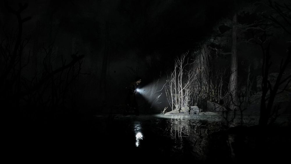 uma imagem do jogo 2D de terror "Silves Pines"