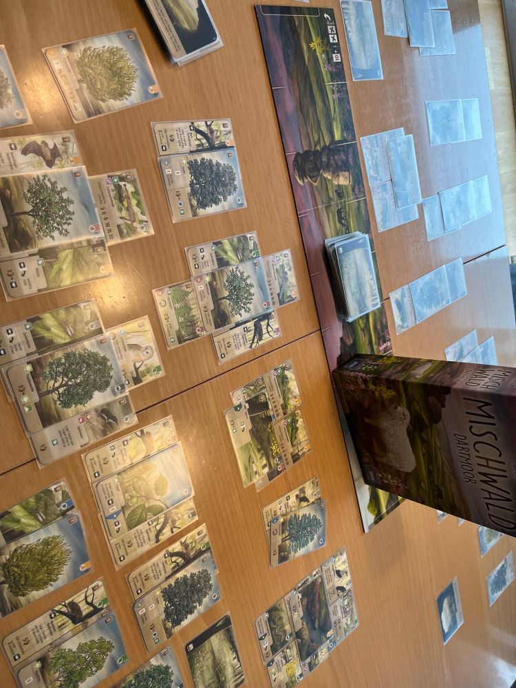 Mischwald:Dartmoor knapp gegen die bessere Hälfte gewonnen 