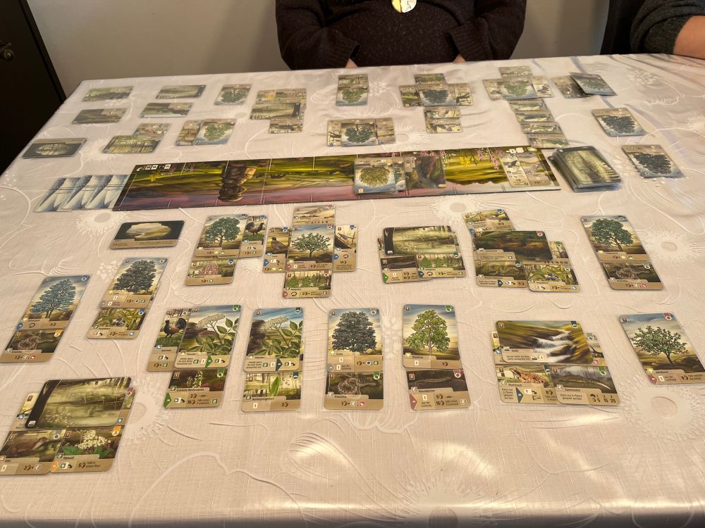 Mischwald Dartmoor gegen die Frau knapp gewonnen 