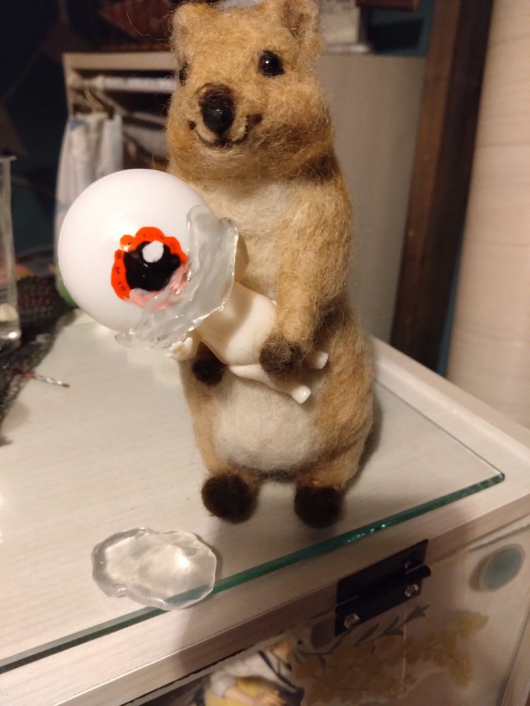 クオッカ「なんかみつけたよー」