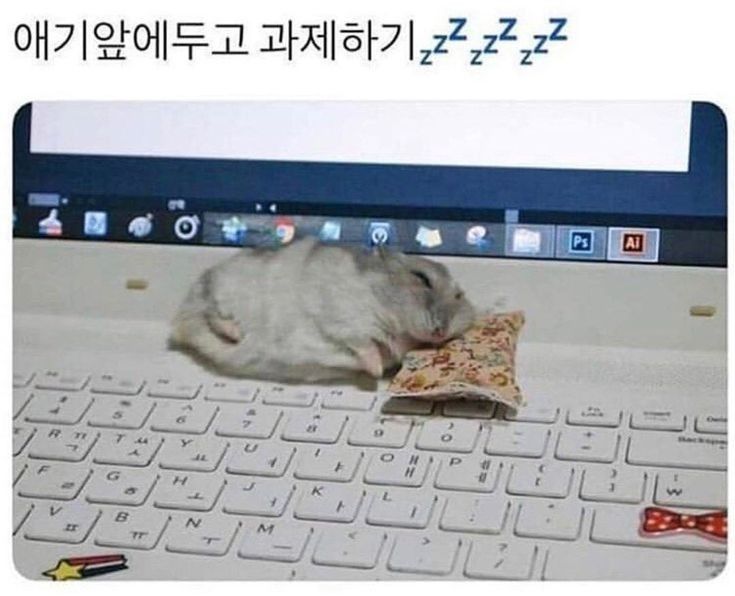 Comment image