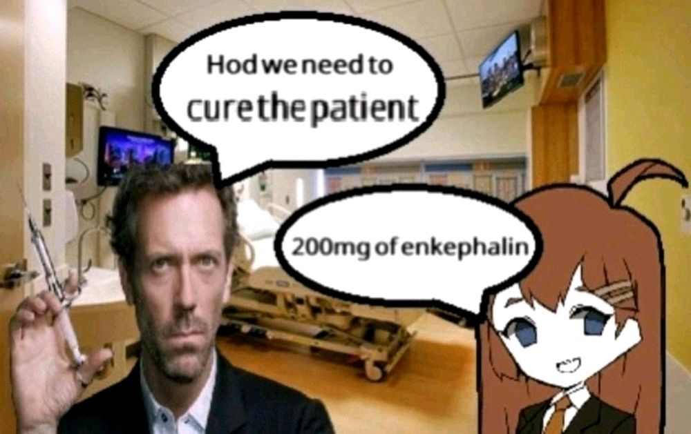 Dr house: Hod we need to cure the patient

Hod: 200mg of enkephalin
