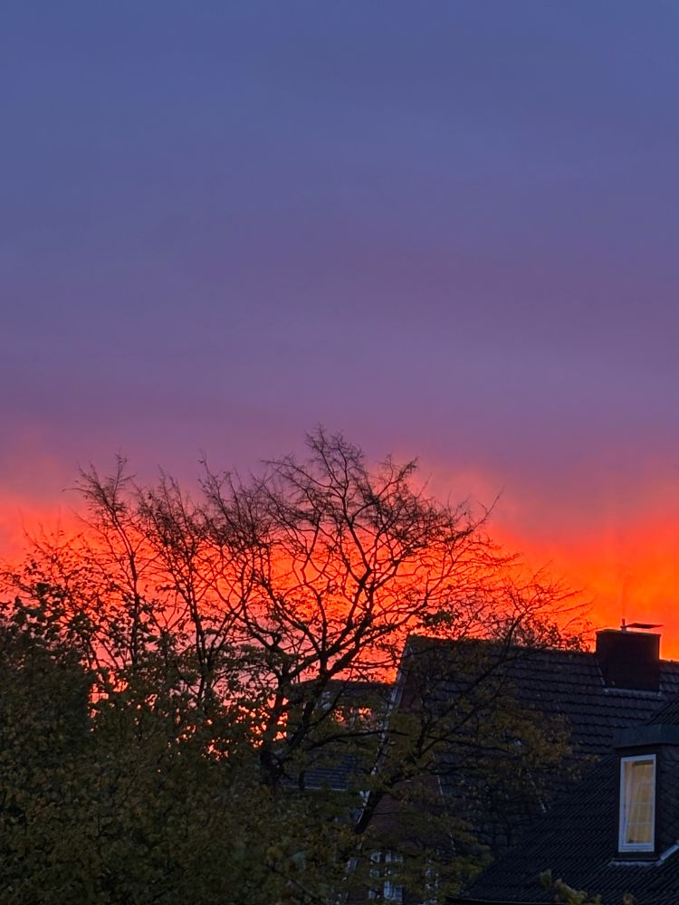 Stark roter Sonnenaufgang 