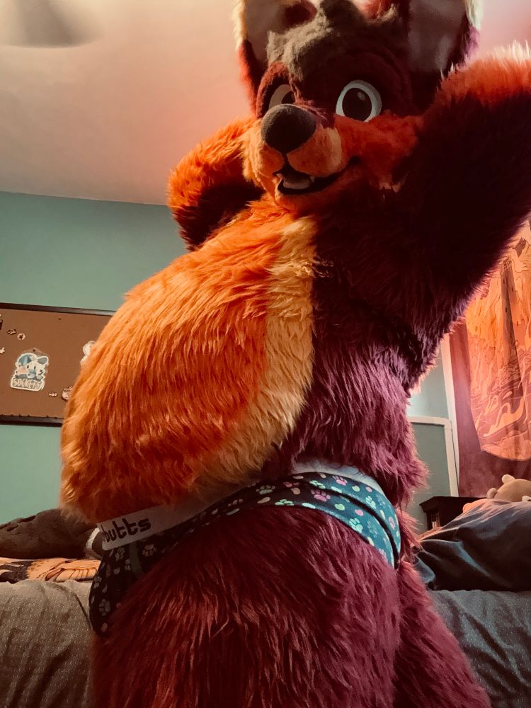 Red kitsune with orange belly leaning back arms crossed behind their head, wearing multi colored paw speckled briefs, showing off their belly and bulge