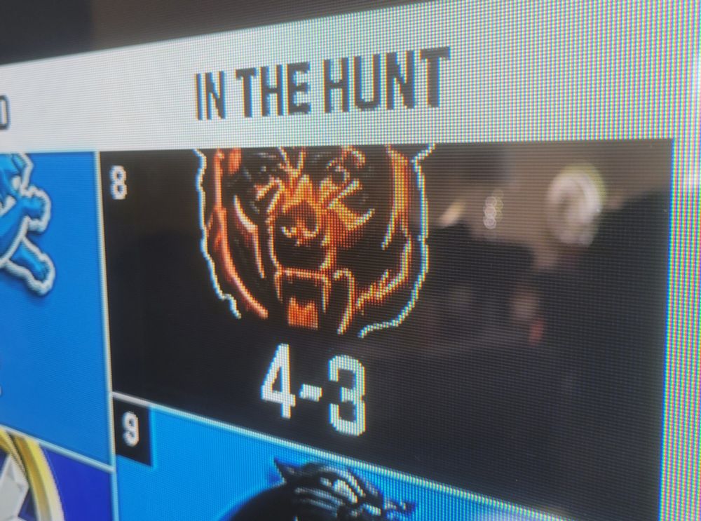 The Bears are In the Hunt