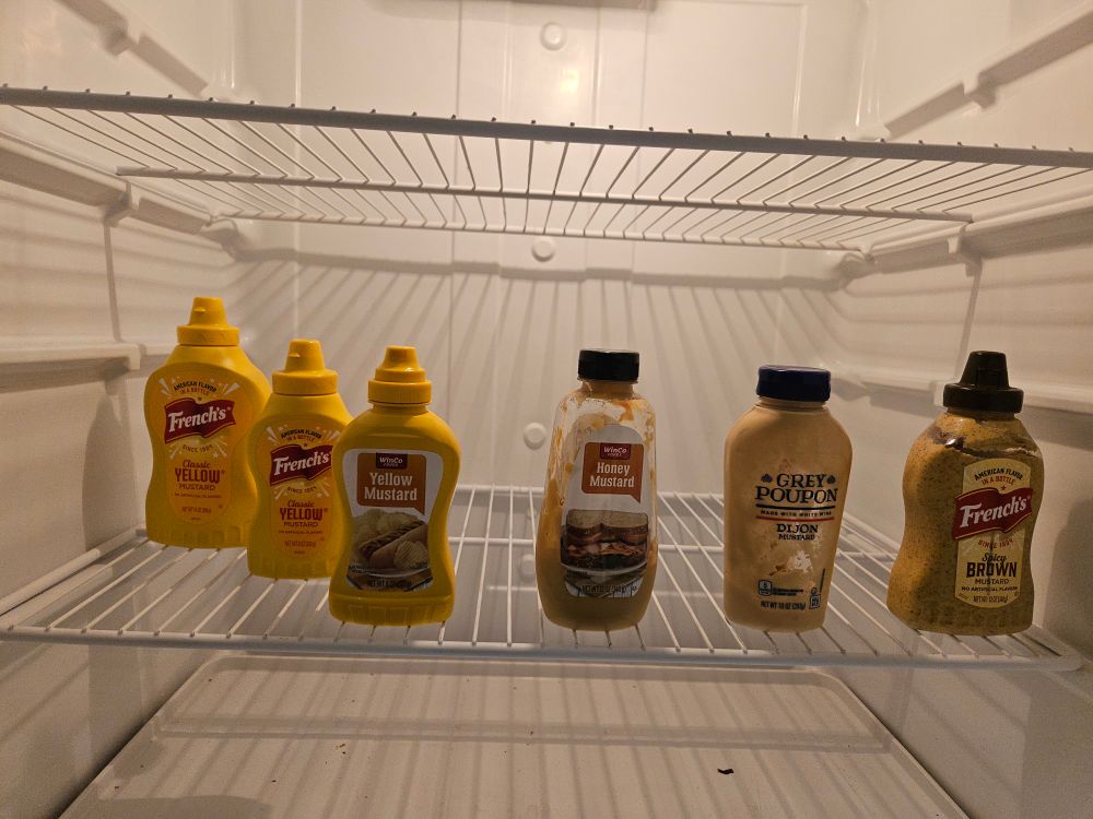 A refrigerator that's nearly empty except for three yellow mustard bottles, a spicy mustard bottle, a Dijon mustard bottle, and a honey mustard.  