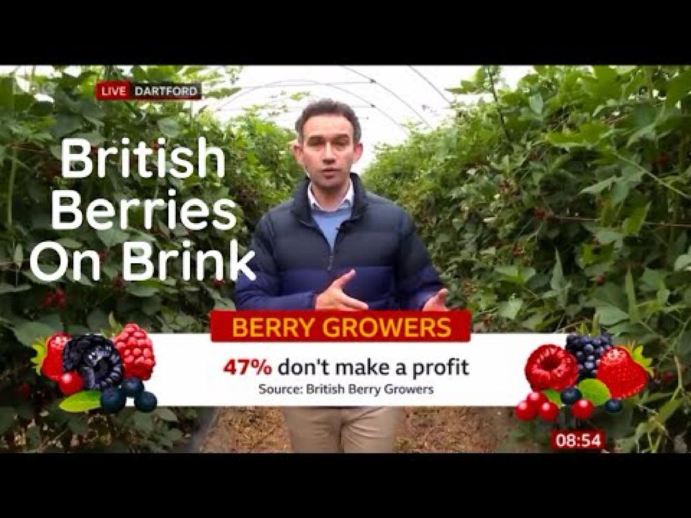 Berry Growers Face Collapse As Brexit Caused Worker Shortage & Inflationary Pressures