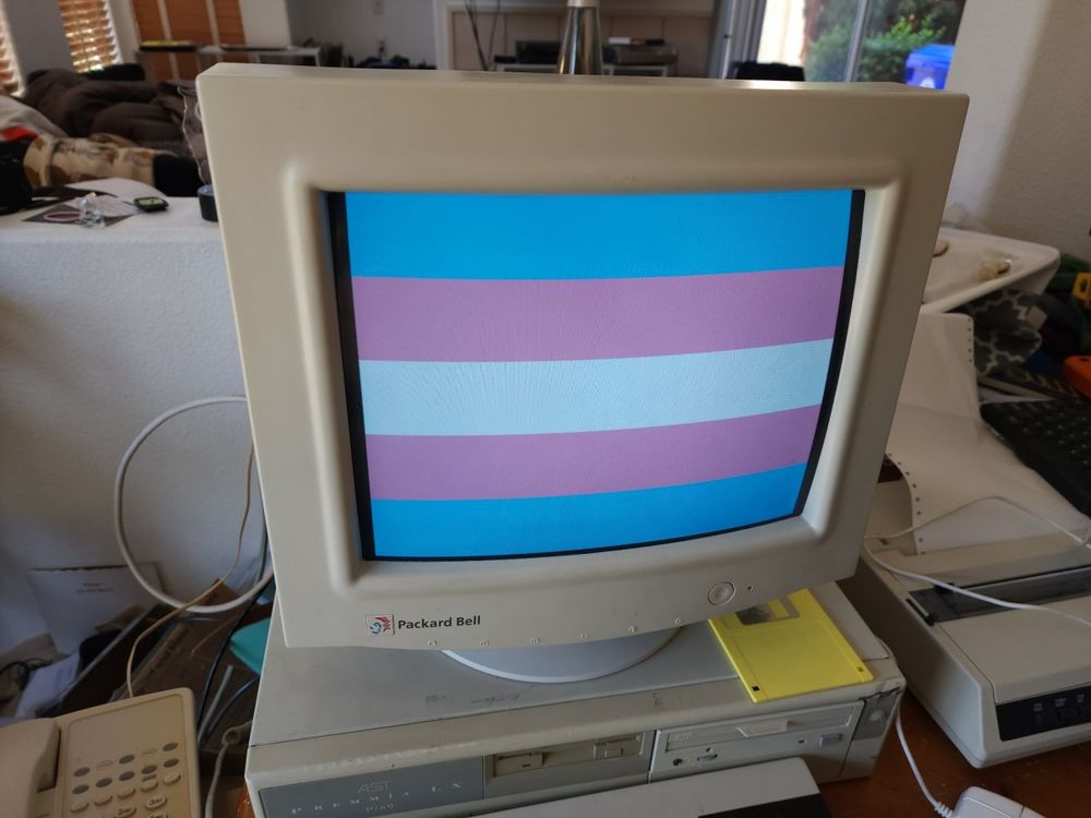 The trans pride flag