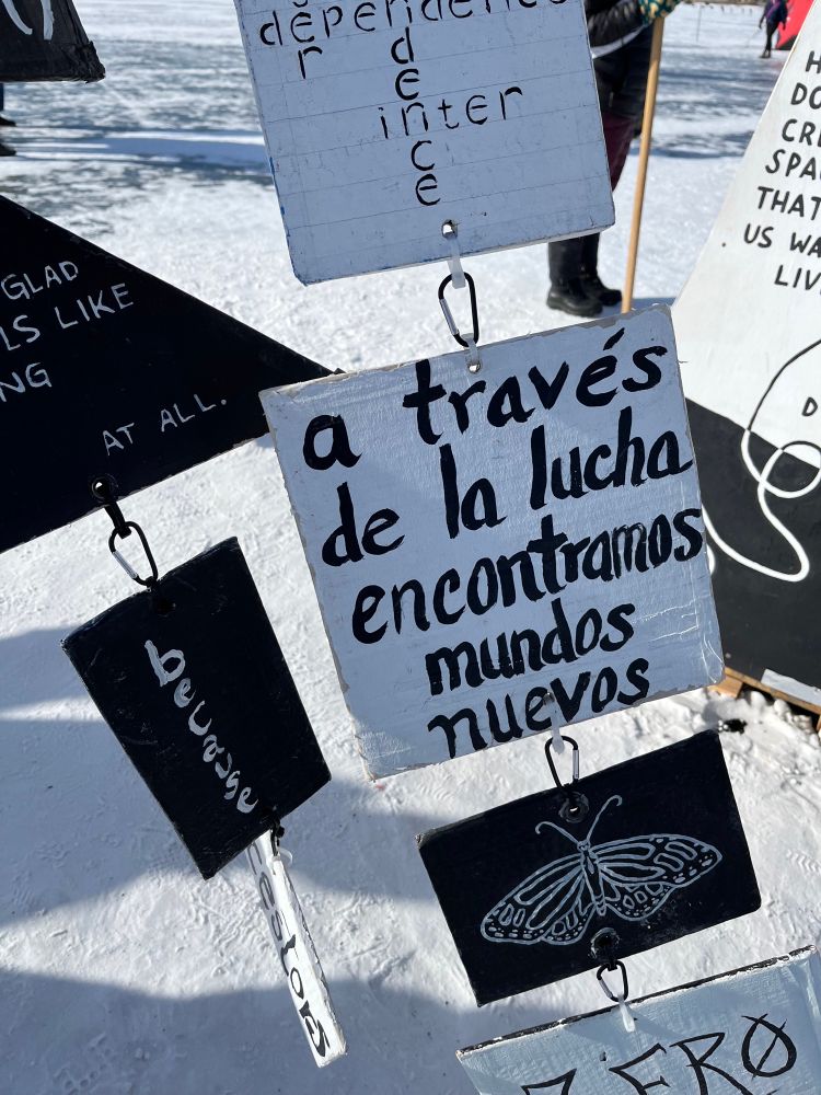 An assortment of signs. One says a través de la lucha encontramos mundos nuevos 