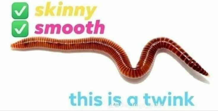 A picture of a worn on a white background. The texts reads "skinny smooth" with check marks before both words. The text below the worm reads "this is a twink"