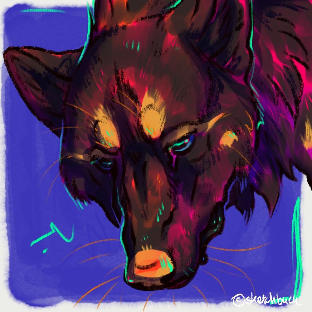 A black canine with golden markings around their eyes, eyebrows and cheeks. Their nose is also golden. Royal blue background.