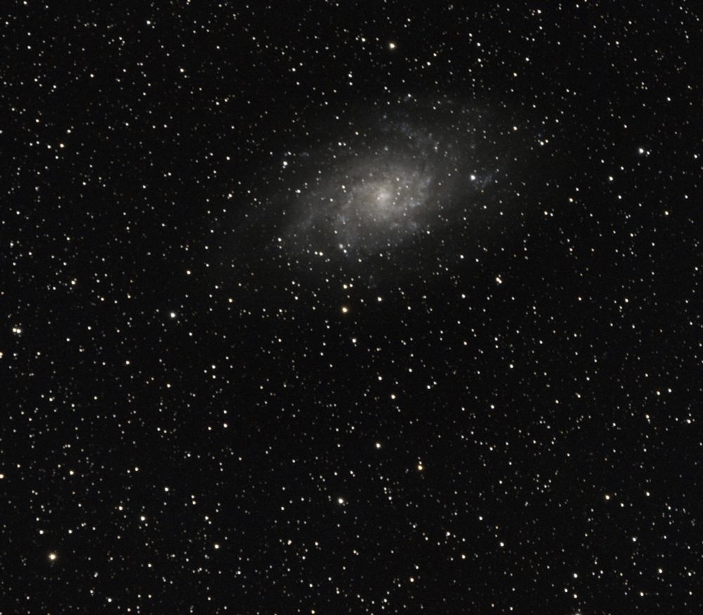 M33 the Triangulum Galaxy, a small galaxy with grand spiral shape tilted slightly away from the field of view, surrounded by stars

Photo Credit: Richard Ferro