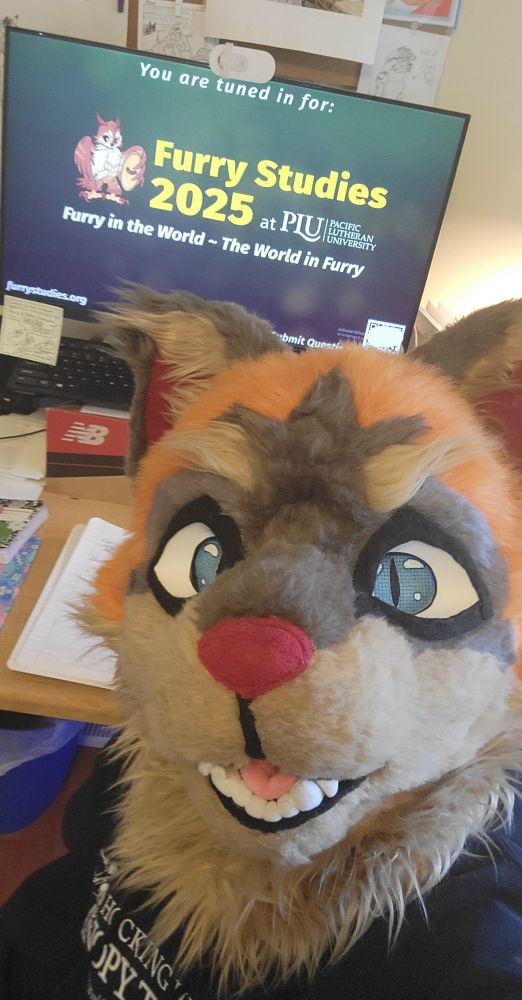 GabuMatt fursuiting as GabuCat sits at his desk with with the Furry Studies 2025 live stream up while the in-person attendees break for lunch!