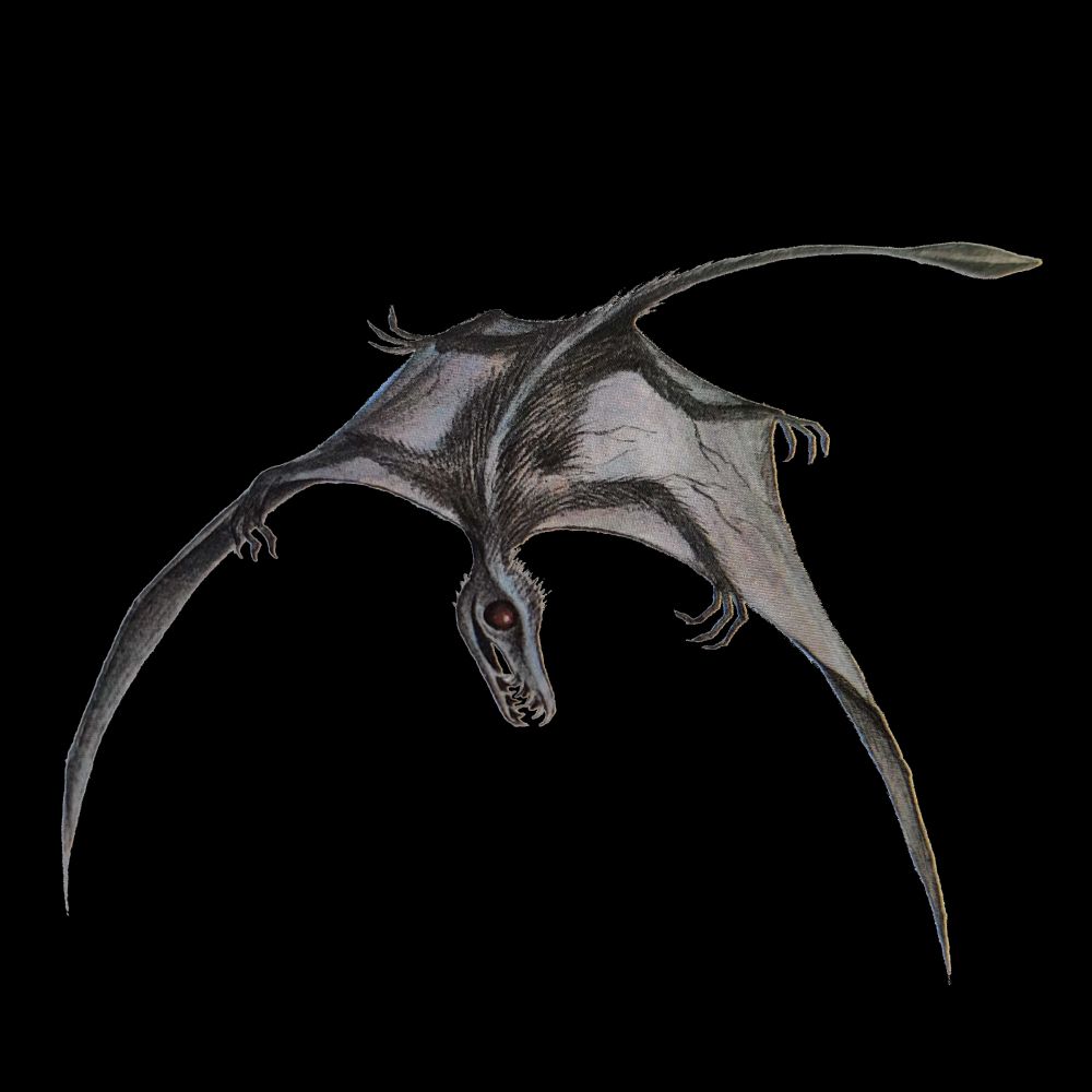 An outdated depiction of the pterosaur sordes pilosus. It's a hairy winged creature with big blood red eyes. 