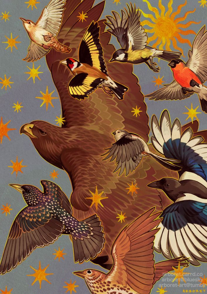 A drawing of several birds flying overlapping each other, over a blue background with a gold sun and stars. The species include a wren, goldfinch, blue tit, bullfinch, buzzard, long tailed tit, magpie, starling, and song thrush.