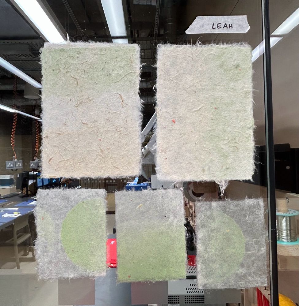 Five sheets of hand made papers of various sizes drying on a window. All have natural kozo fibre bases, and are layered with green cotton of different shapes to give a gradient effect. 