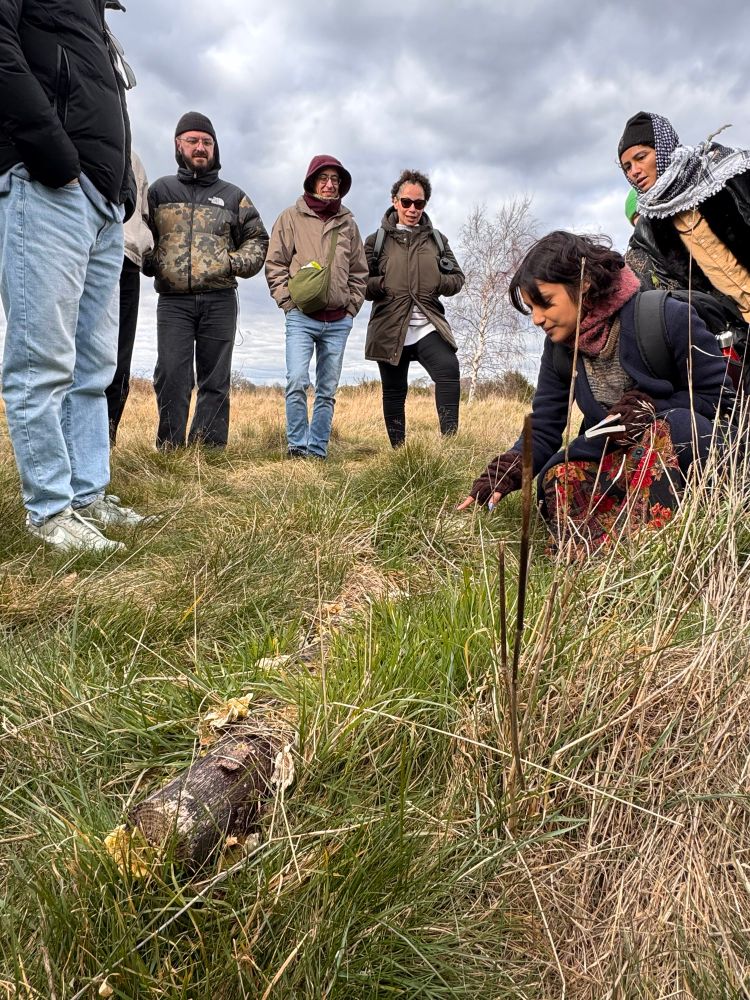 A ground level view. A woman in scarf, gloves and long coat crouches down in long grass to examine the bracket fungus on a log. A group of people stands around her looking at the log. 