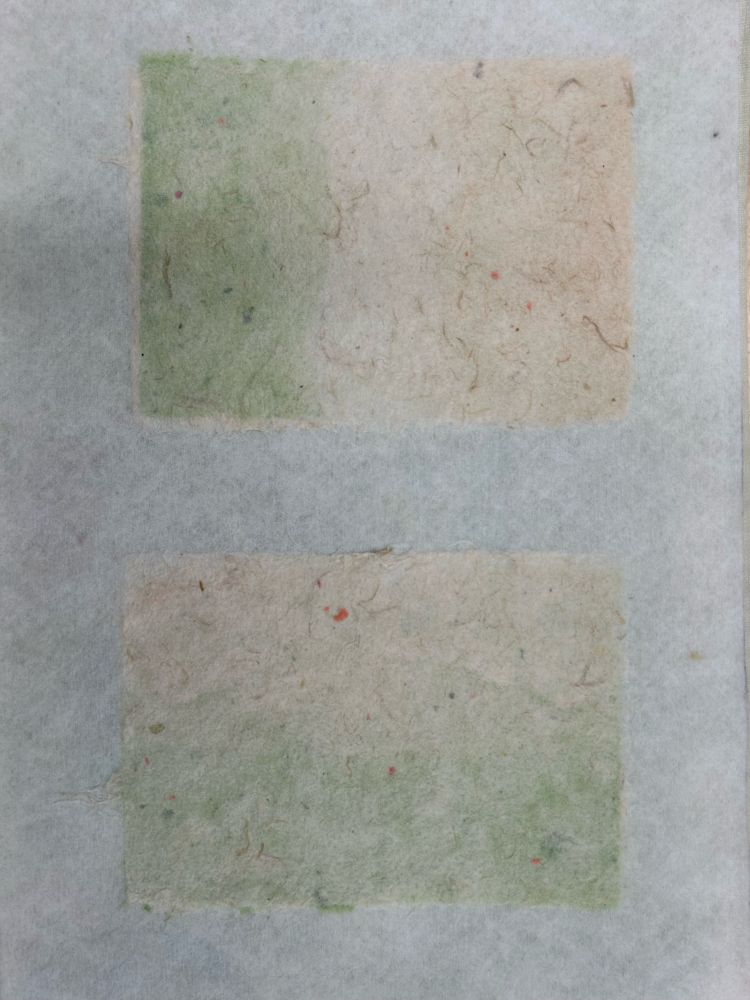 Two sheets of hand pulled paper laid out on a sheet of interfacing. The papers are made with longer kozo fibres, and both have a subtle green gradient on one edge. 