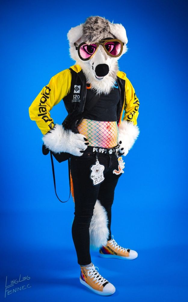 📸 Linglingfennec.bsky.social 
🧵 Latenightlynx.bsky.social