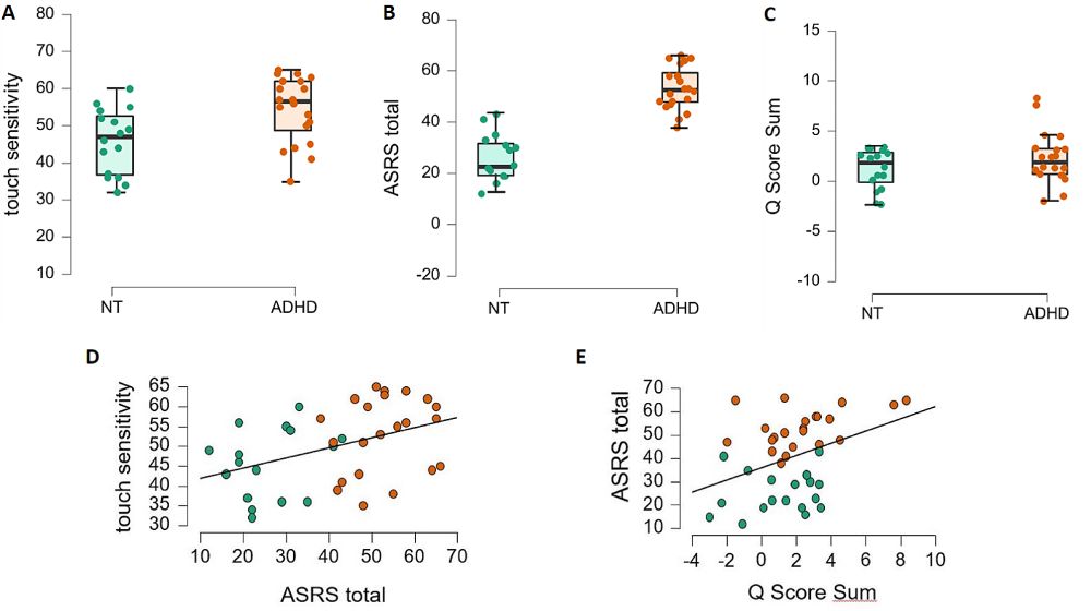 Altered somatosensory processing in adult attention deficit hyperactivity disorder - BMC Psychiatry