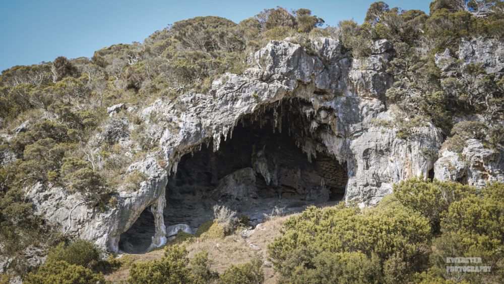 A photo taken of the Tarragal Caves near Cape Bridgewater Victoria, Australia.