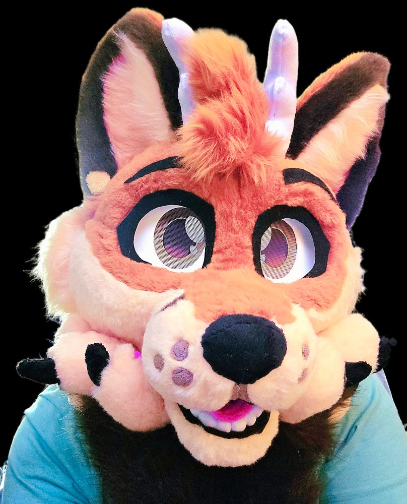 Oz smiling with his paws under his chin!