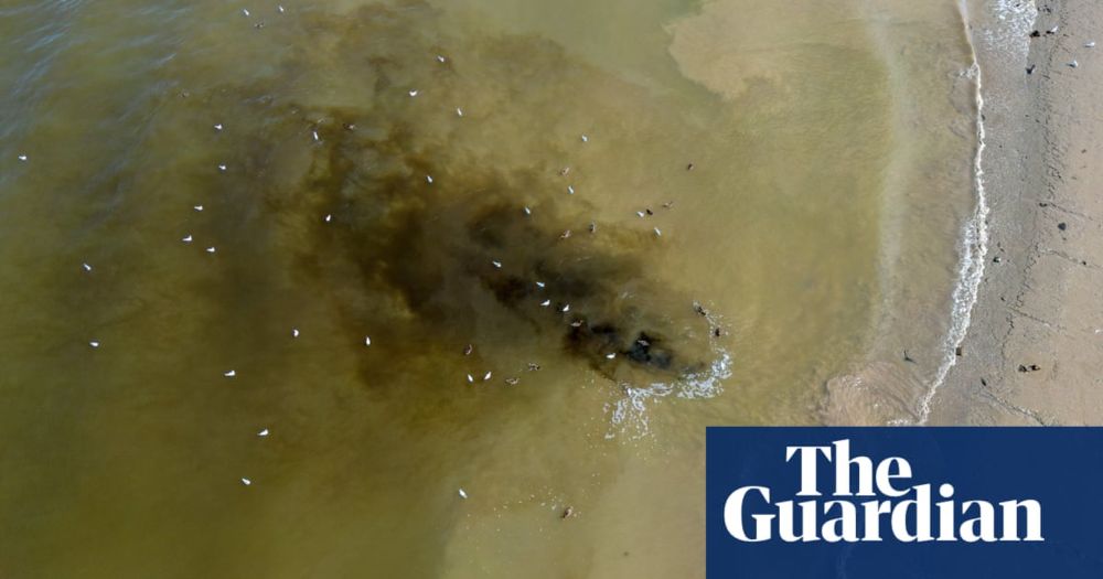 Treated and untreated sewage greatest threat to river biodiversity, says study