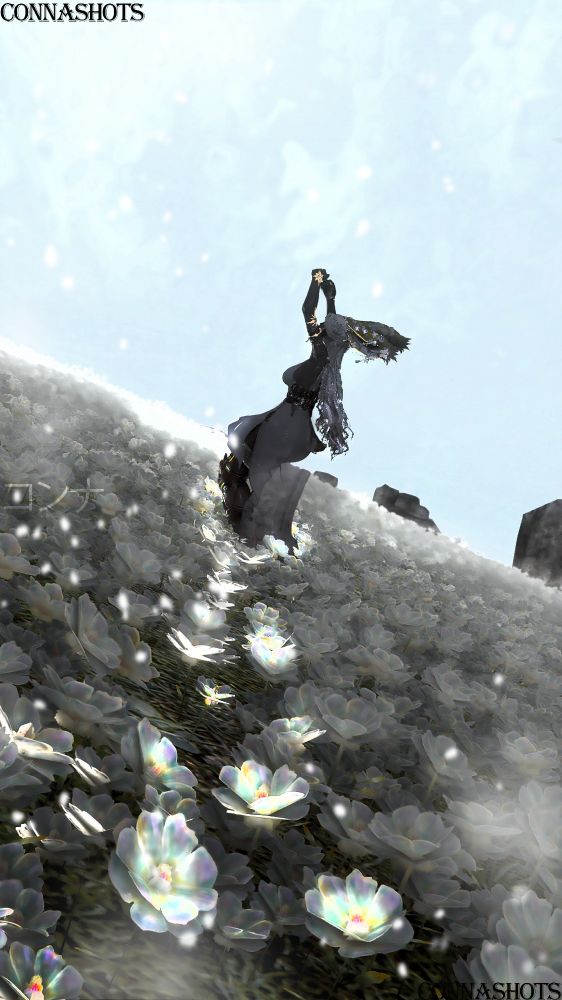 Conna walks among white flowers . A trail of glowing flowers lead to her. as she dances in what looks to be nothingness. 

*Basics of Conna general look.
 Conna is a 160-year-old Viera from Final Fantasy 14. Her hair is all white with gold highlights . They are locs with gold clasps on them.  Her clothes colors are usually gold and white. This is her theme. Conna has Heterochromia. Her left eye is gold, and her right is white. She often has claws that are the same color as her complexion. Her shade is that of a normal Rava Viera brown. Conna is autistic she does not look directly into the camara or at people. It is always off to the side. She has bunny ears and a bunny tail. Her ear tips are gold. *
