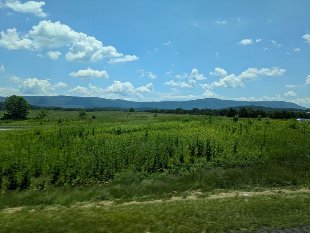 View from Virginia Breeze bus as it heads to Blacksburg from DC. It's sunny. The hills are green and gorgeous. 