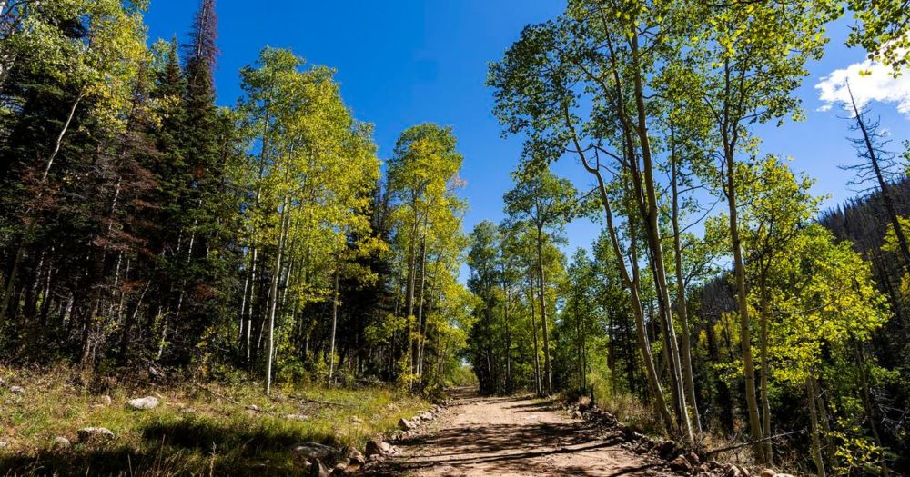 Judge rules racism wasn’t behind the Ute Tribe not getting Tabby Mountain land