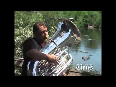 Alligators in B-Flat