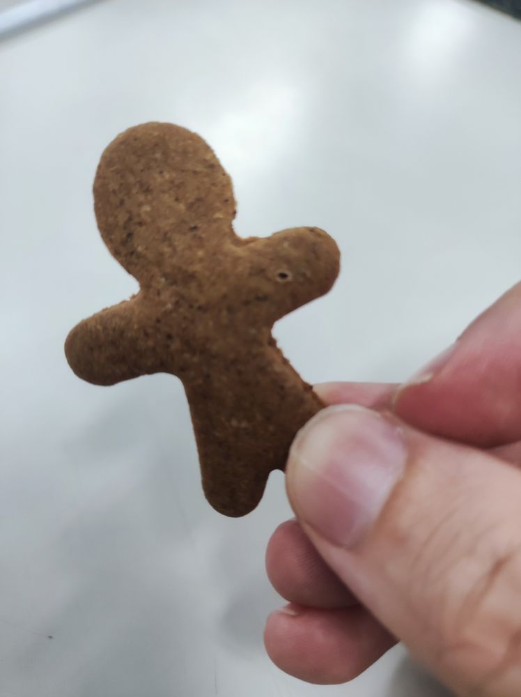 Um biscoito de gengibre em forma de bonequinho
