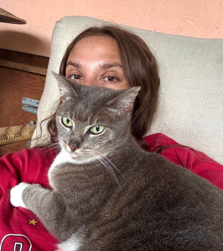 a grey and white cat sitting on a brunette woman in a red fsu seminoles shirt, the cat is covering her face up to the eyes. they are judging you. 