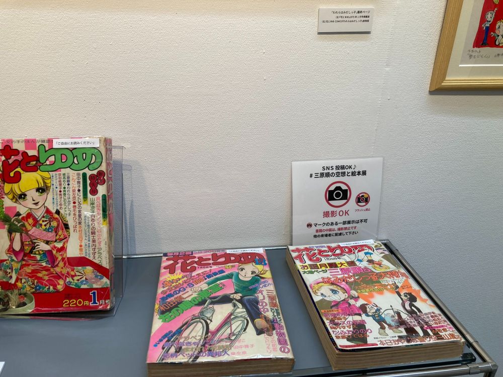 撮影OKの花とゆめ（中のページは撮影不可です）