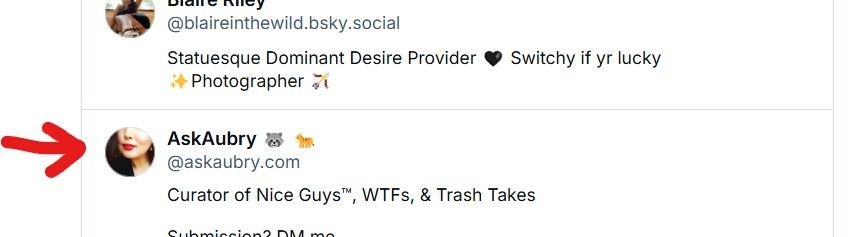 screenshot showing AskAubry's  account mistakenly, or incorrectly, included on ‪@artistanovato.bsky.social‬'s "onlyfaners, sex workers" moderation list. 