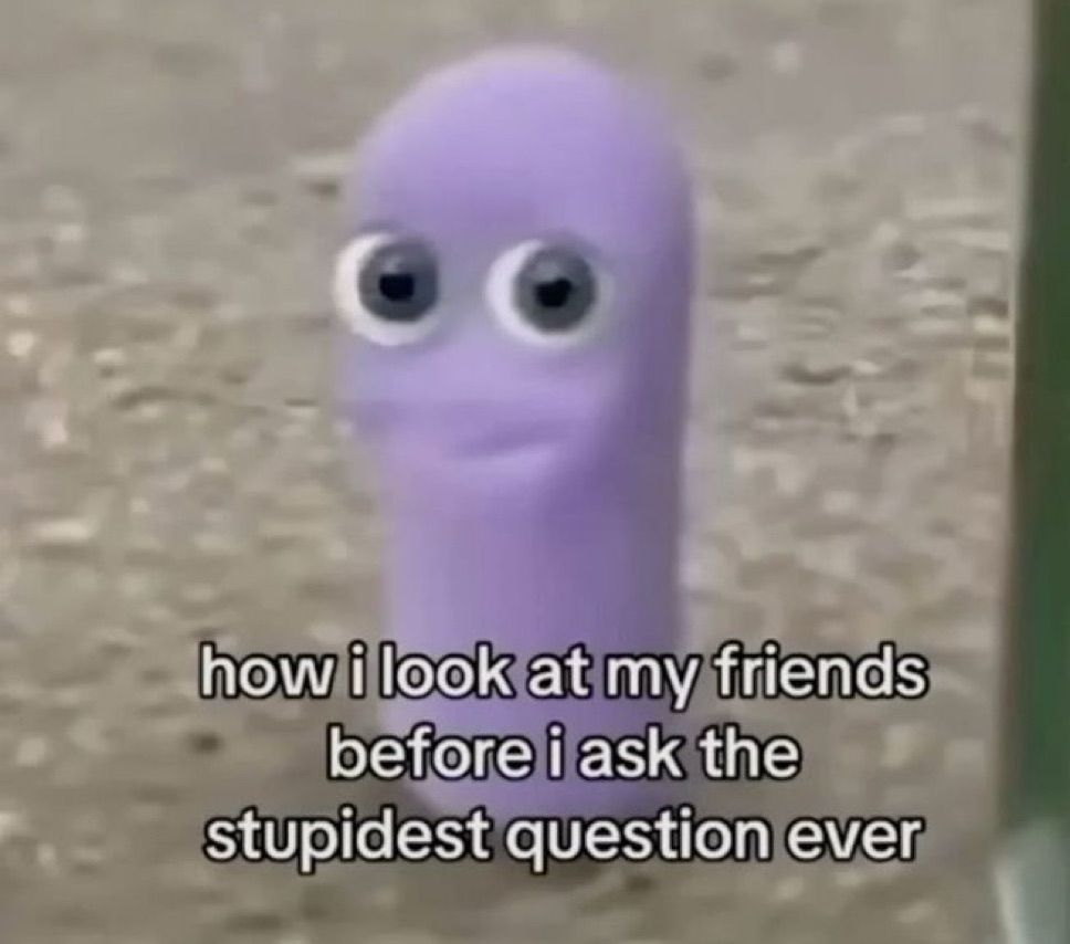 How I look at my friends before I ask the stupidest question ever