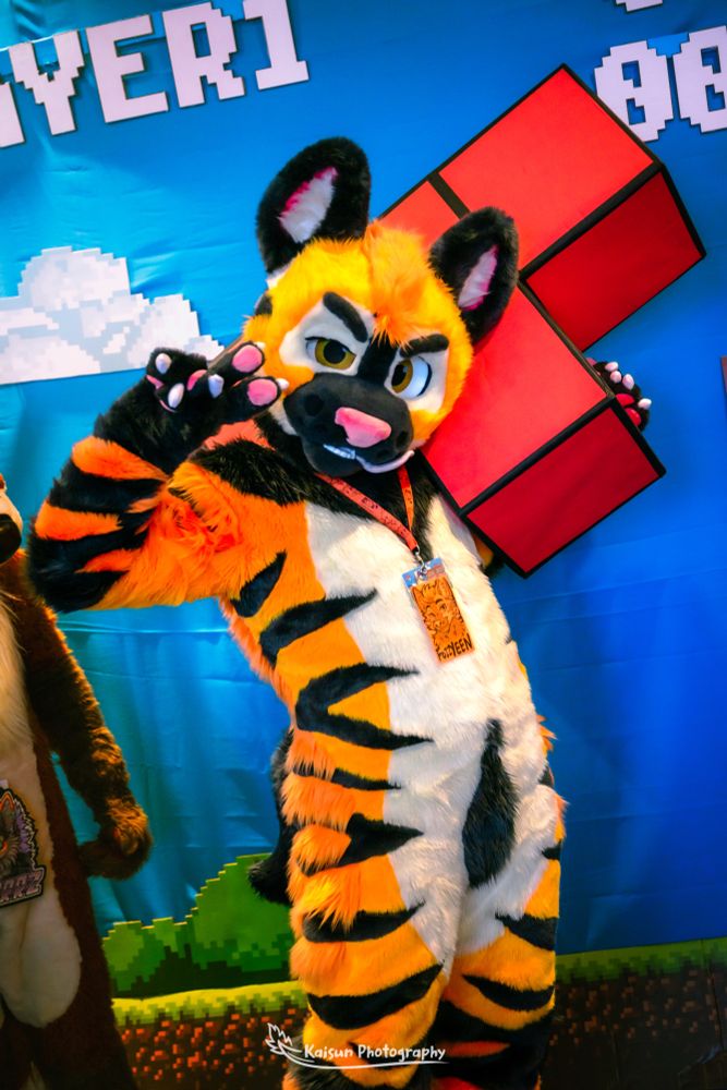 A photo of Fozzaroo holding up a tetris T shape while posing with a peace sign on his hand. Fozzaroo is a red, white and grey coloured striped hyena fursuit.