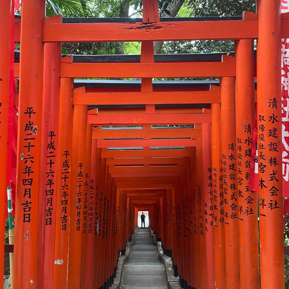 torii gates 