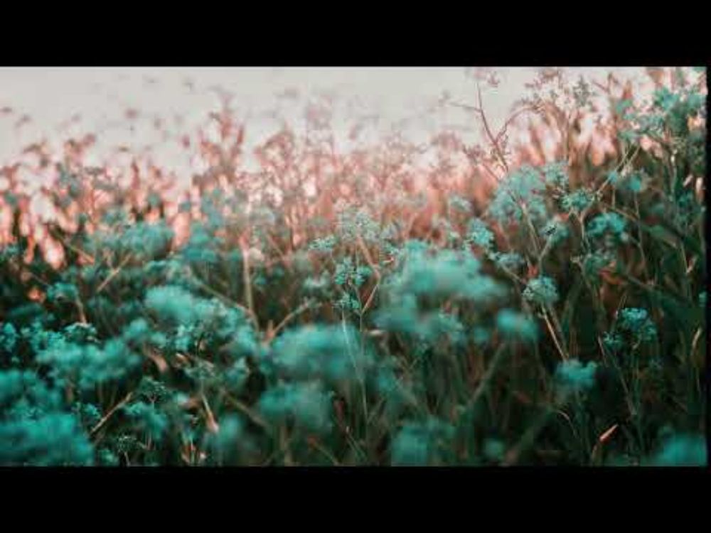 Indigo Dream - Prometheus
