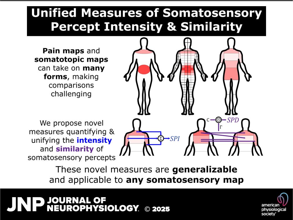 Unified Measurs of Somatosensory Percept Intensity & Similarity.
Pain maps and somatotopic maps can take on many forms, making comparisons challenging.
We propose novel measures quantifying & unifying the intensity and similarity of somatosensory percepts.
These novel measures are generalizable and applicable to any somatosensory map.
