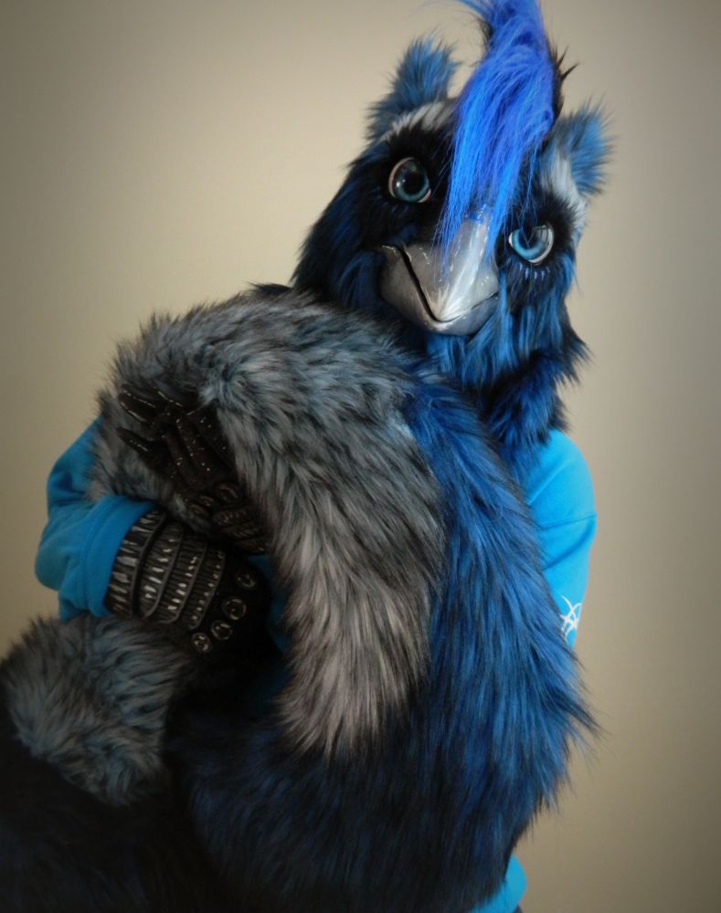 A blue fursuit gryphon hugs his big soft tail. 